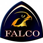 FALCO MONITORAMENTO