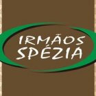 MÓVEIS IRMÃOS SPEZIA