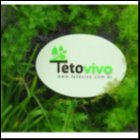 TETO VIVO